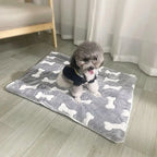 Chien sur une couverture polaire motif os