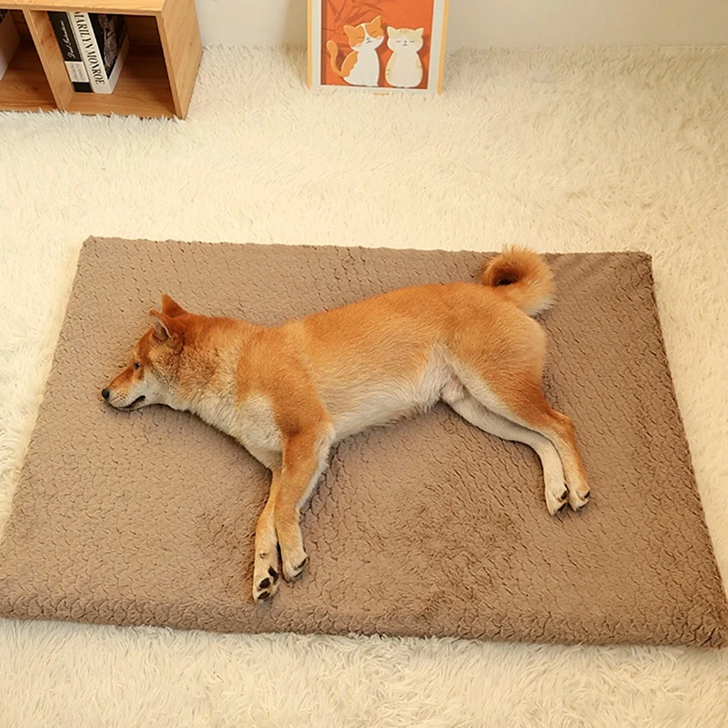Shiba allongé sur un matelas pour chien beige