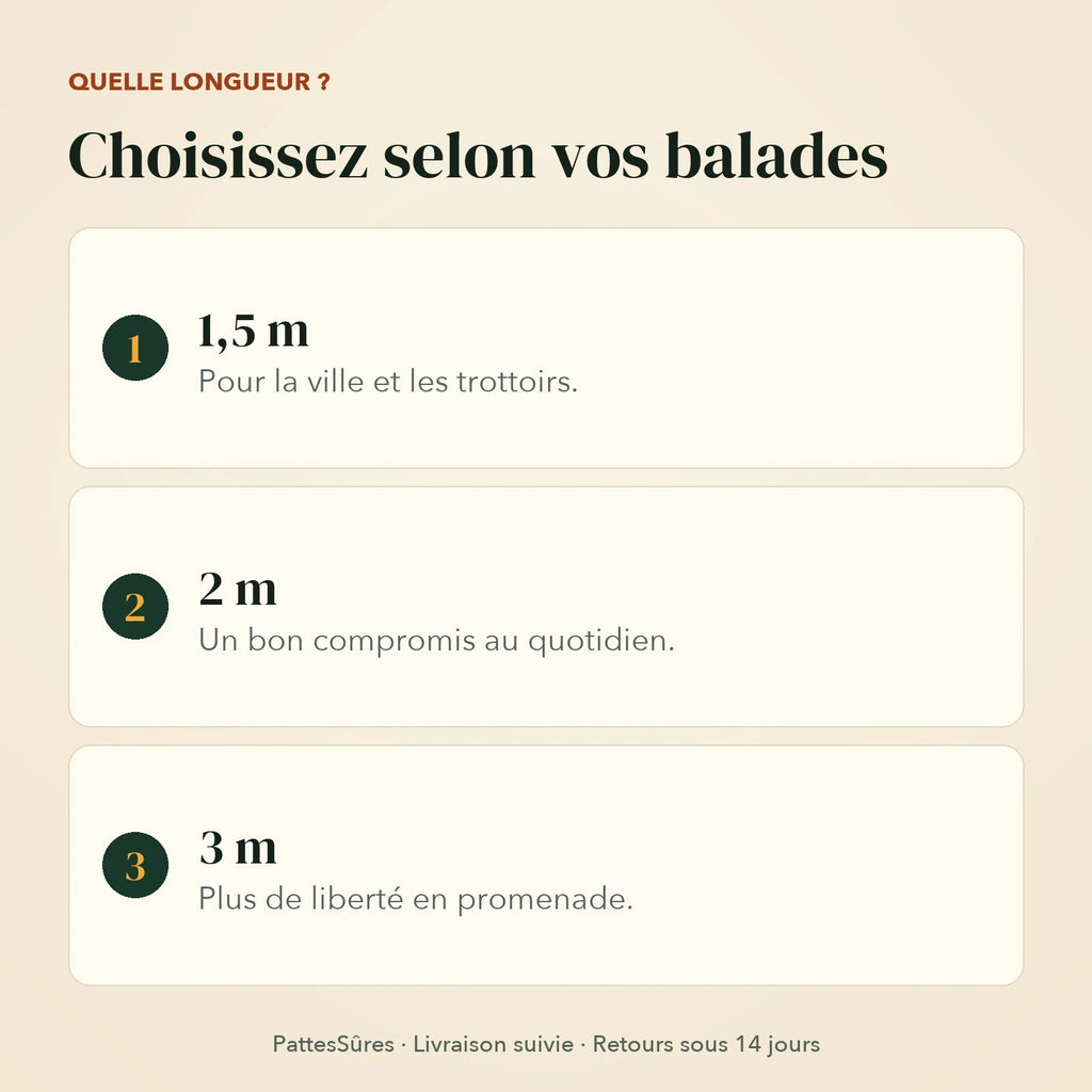 Choisir la longueur de la laisse : 1,5 m, 2 m ou 3 m