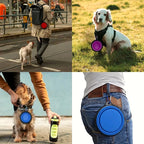 Gamelle de voyage pliable en balade avec un chien
