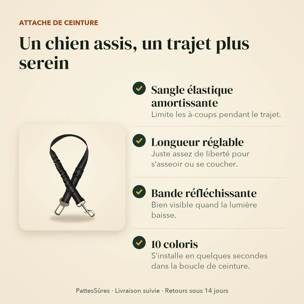 Points forts de l’attache de ceinture : sangle élastique, longueur réglable, bande réfléchissante