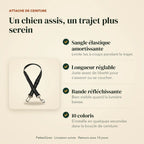 Points forts de l’attache de ceinture : sangle élastique, longueur réglable, bande réfléchissante