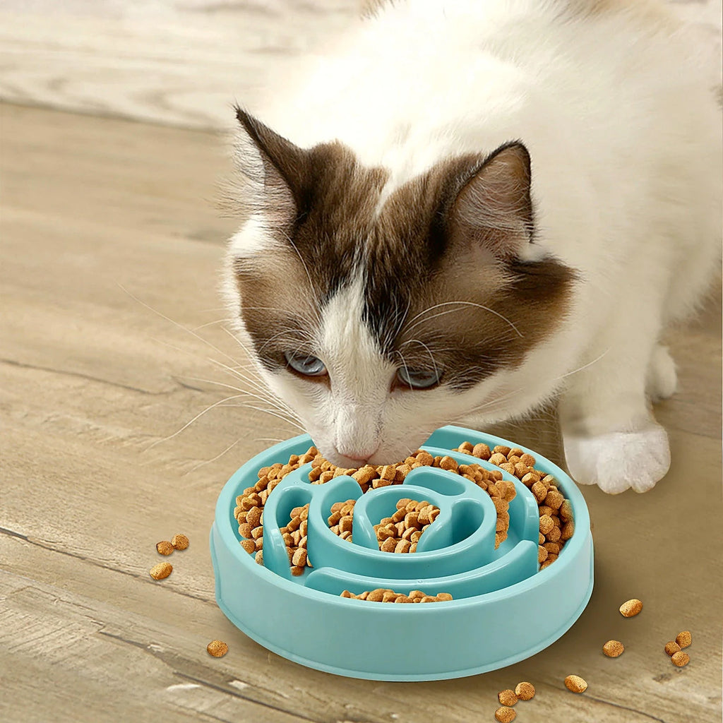 Chat qui mange dans une gamelle anti-glouton labyrinthe