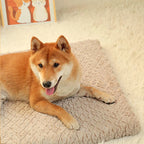 Shiba couché sur un matelas pour chien moelleux
