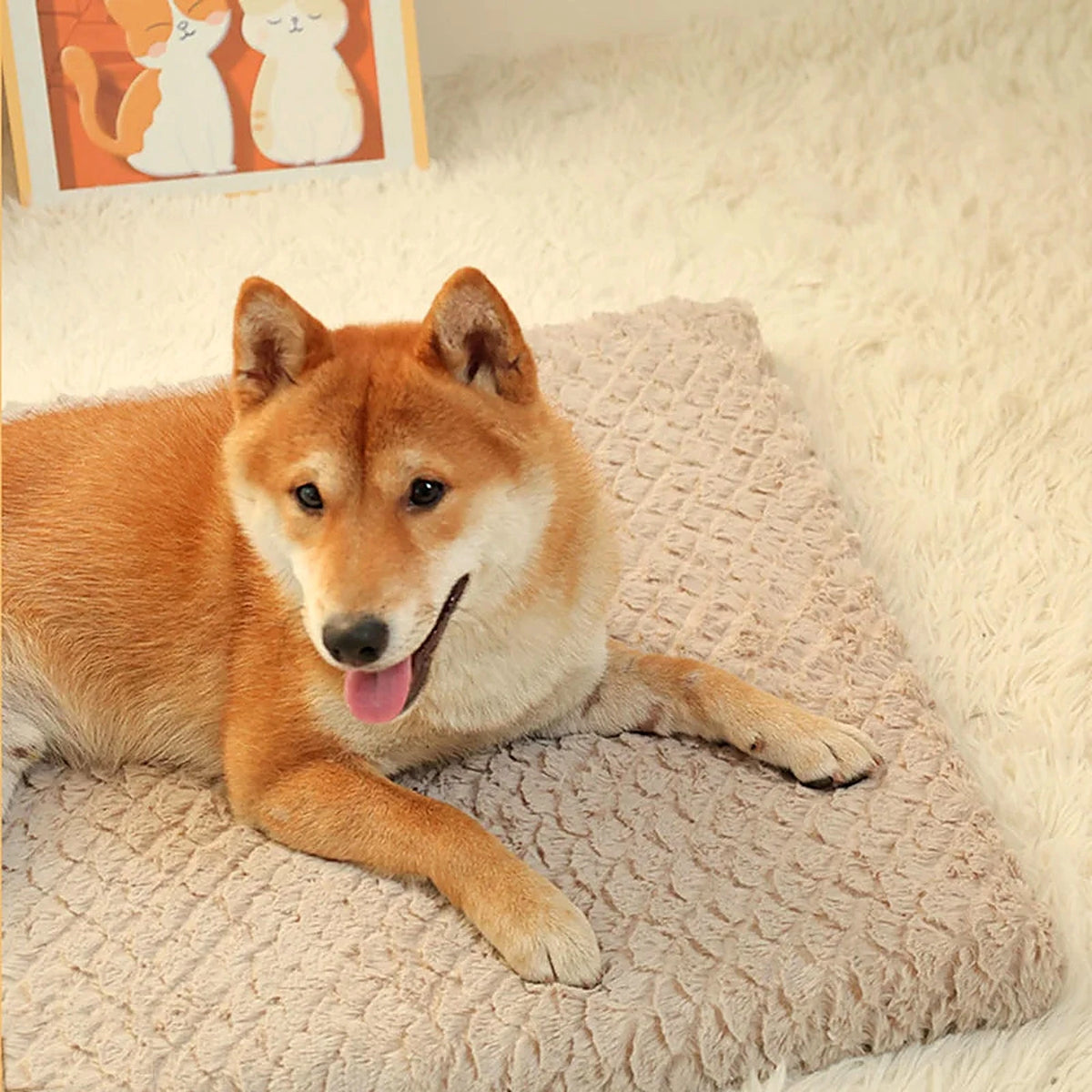 Shiba couché sur un matelas pour chien moelleux