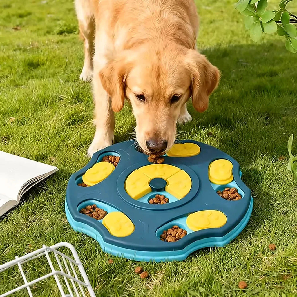 Chien qui cherche des croquettes dans un jouet puzzle