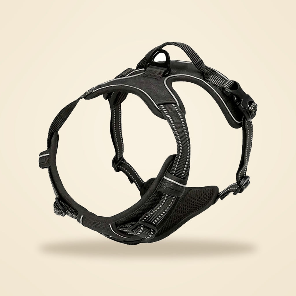 Harnais pour chien anti-traction réfléchissant avec clip frontal