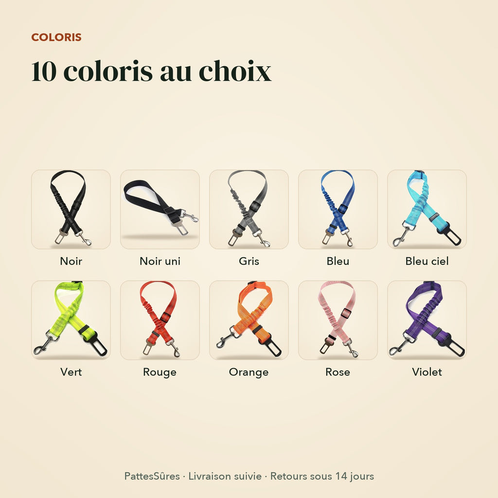 Les 10 coloris de l’attache de ceinture pour chien