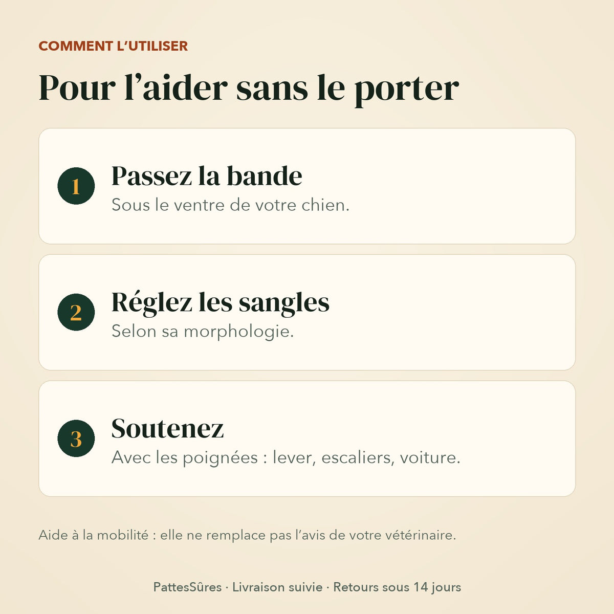 Utiliser la sangle de soutien en 3 étapes